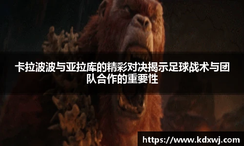 好博体育官网平台